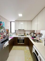 La Fiesta (D19), Condominium #474250021